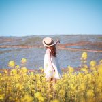 タイムトラベル個人的メモ