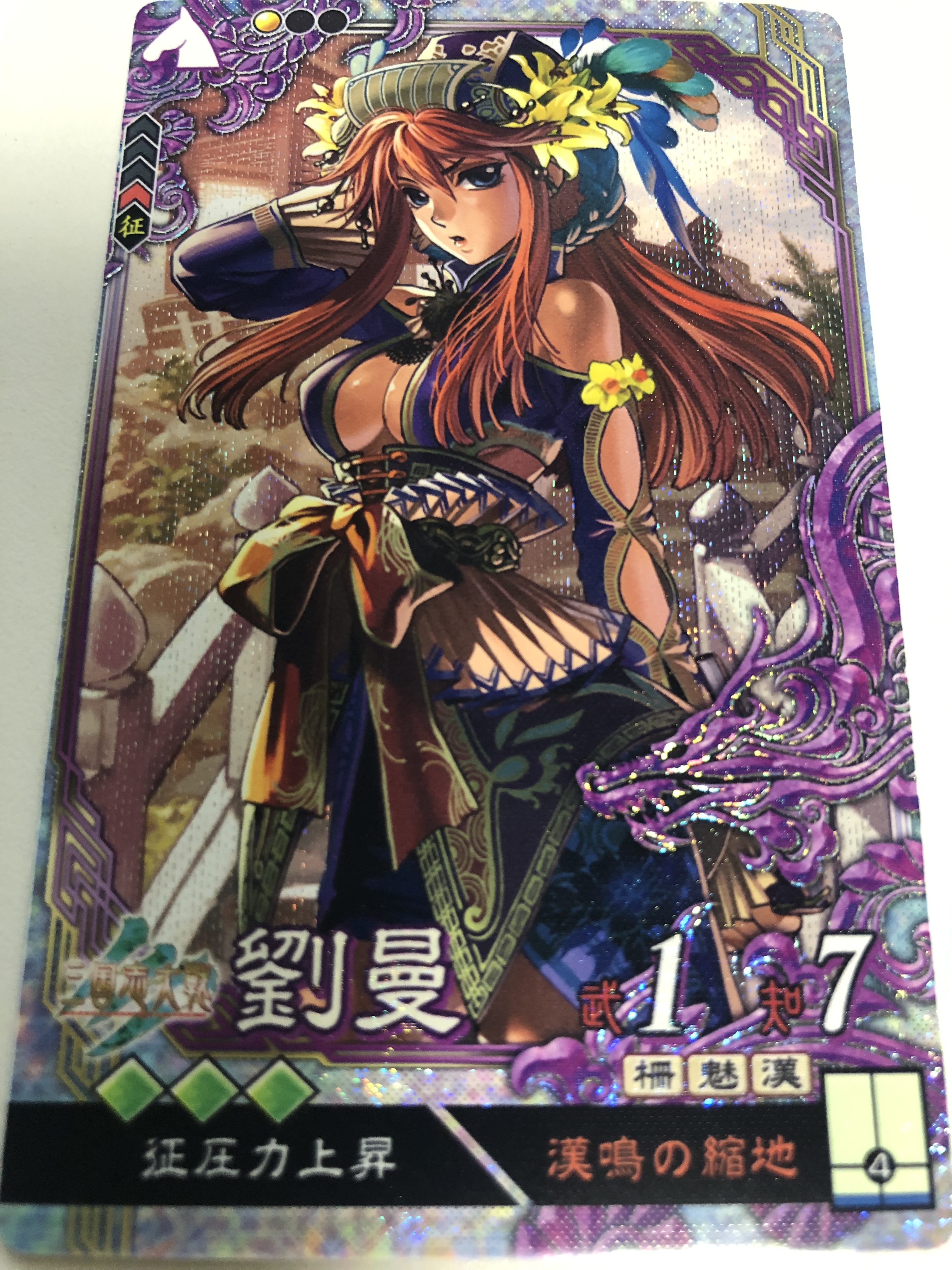三国志大戦tcg 劉曼 スリーブ　宴 三国志大戦tcg 劉曼 スリーブ 宴 2025年最新】三国志大戦 SR 劉